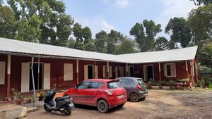 30442 eco friendly.jpg