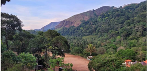 30453 my village 4.png