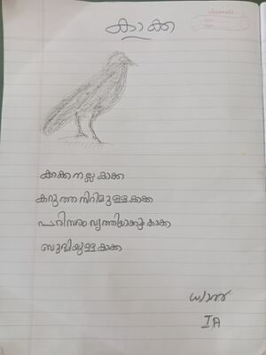 35302-ALP-KUNJ-DYAN RAG.jpg