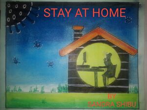 41069 Sandra Shibu.jpeg