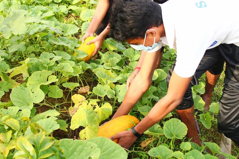 പ്രമാണം:42021 3026.jpg