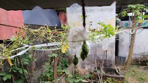 42069 kitchen garden2503.jpg