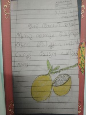 43423-TVM-KUNJ-AADHINATH R L.jpg