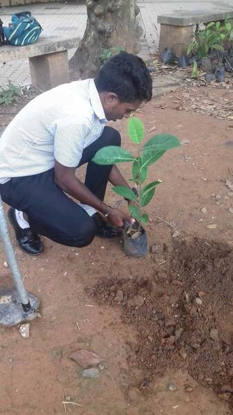 പ്രമാണം:44050 440.jpg