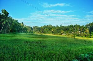 48479 ente gramam.jpg