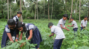 Screenshot from 2022-02-07 11-54-16.png