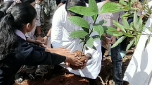 Screenshot from 2025-07-09 11-29-58.png