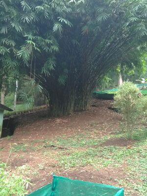 WhatsApp Image 2018-11-19 at 6.41.39 PM.jpeg