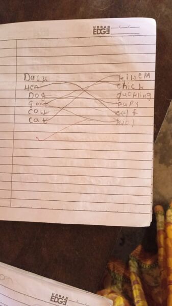 പ്രമാണം:11236-KGD-KUNJ-MARIYAM IFRA.jpg