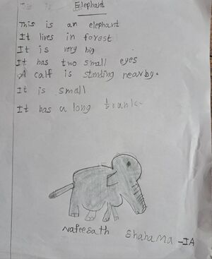 11260-KGD-KUNJ- SHAHAMA.jpeg