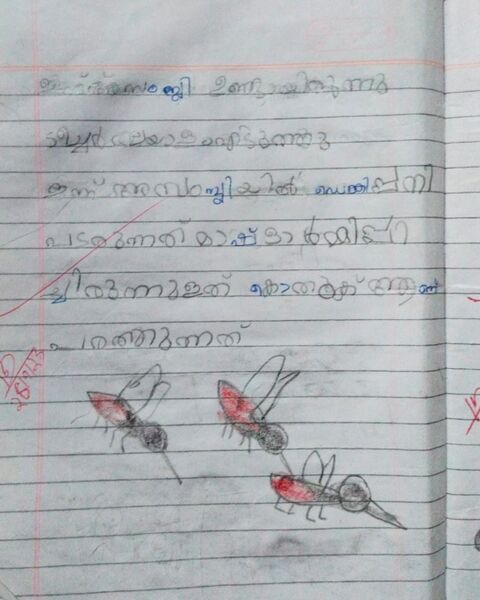 പ്രമാണം:19747-MLP-KUNJ-SHANZA FATHIMA 1A.jpg