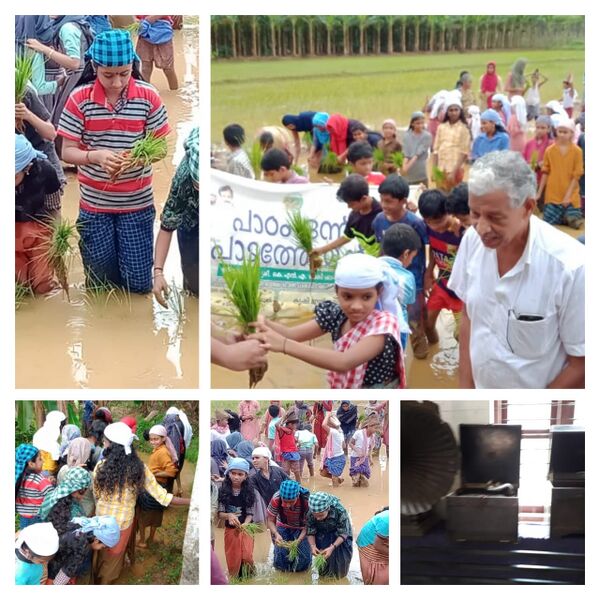 പ്രമാണം:19879 sep activity.jpeg