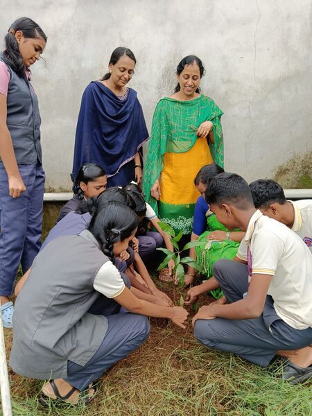പ്രമാണം:22048-Plantation.jpg