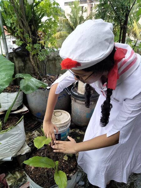 പ്രമാണം:23010 07.jpg