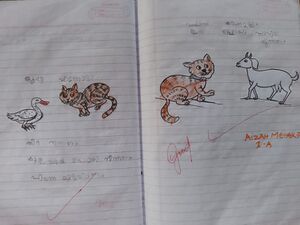 23430-TSR-KUNJ-AIZAHMEHAK P.jpg