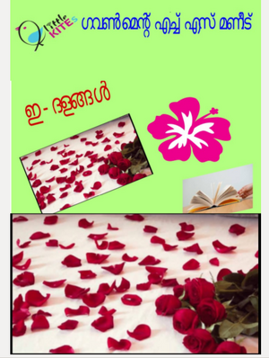 28045-dm.png