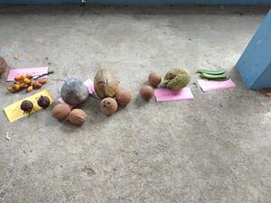 29312 karshikam11.jpg