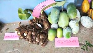 29312 karshikam19.jpeg