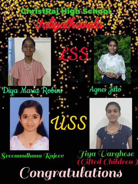 പ്രമാണം:30014 LSS& USS.jpeg