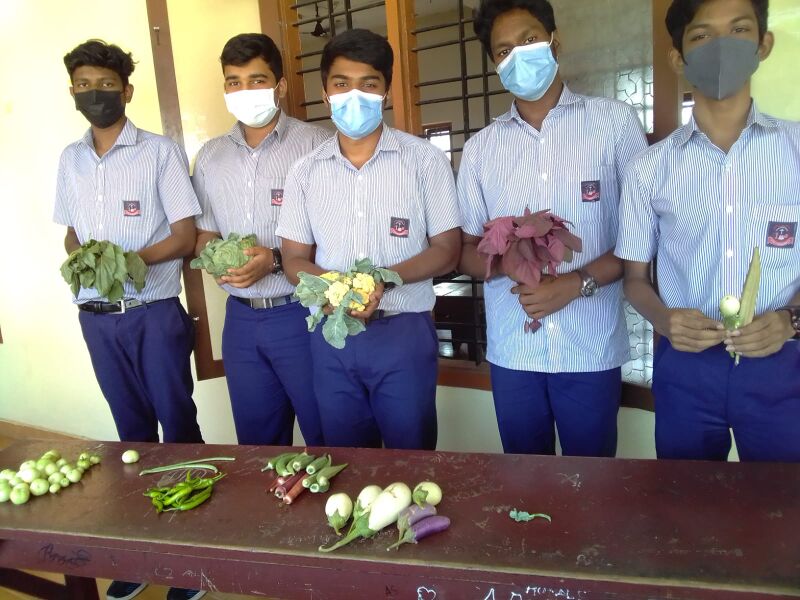 പ്രമാണം:38055 nss veg.jpeg