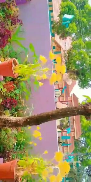 പ്രമാണം:42411 envio8.jpg