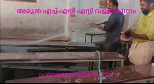 BS21 ALP 36016 1.jpg