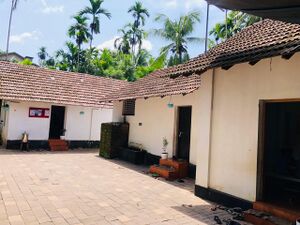 WhatsApp Image 2024-03-28 at 11.50.13 e3370437.jpg