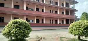 15462-ente gramam6.jpg