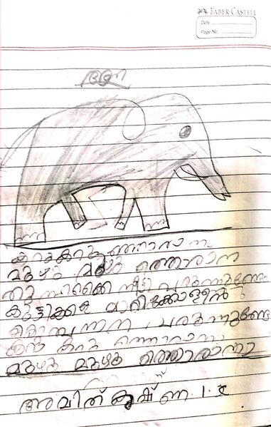 പ്രമാണം:20519-PKD-KUNJ-AMITH KRISHNA.jpg