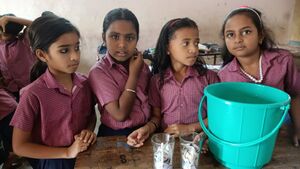 21068 ela23 lp9jpeg.jpeg