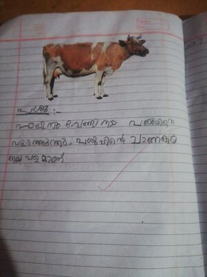 22637-TSR-THAMAN P SHAN I C.jpg