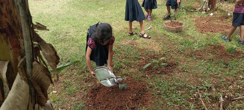 പ്രമാണം:25044 Oshadhathottam-2.jpg