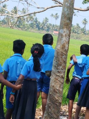 33219-Nature walk.jpg