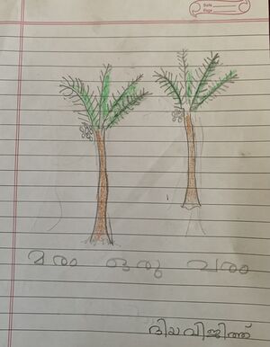 36310-ALP-KUNJ-DIYA VIJITH.jpg