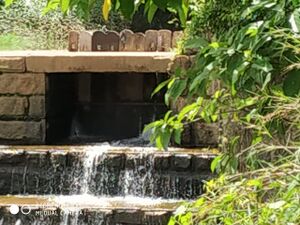 42011 sam cheerp.jpg