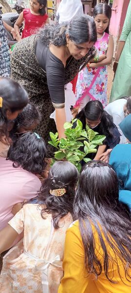 പ്രമാണം:42042 pari 1.jpg