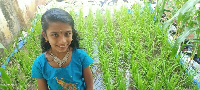 പ്രമാണം:44050 22 3 4 i10.jpeg