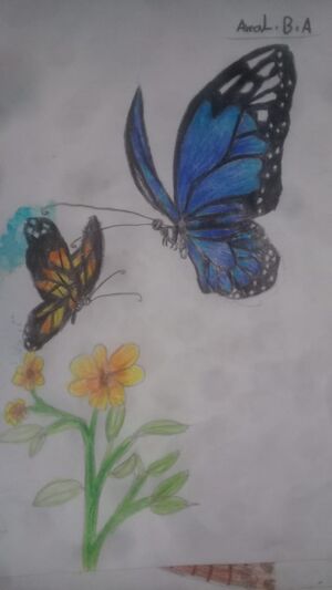 44055 butterfly1.jpeg