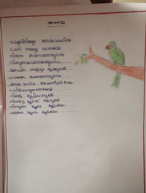 47239-KKD-KUNJ-PUNNYA RIJEESH.jpg