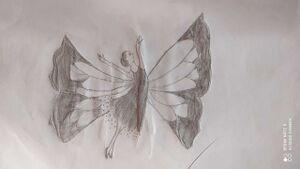 48239 henna k 7c 2.jpeg