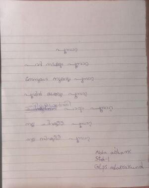 48501-MLP-Kunju-Abla Aisha.jpeg