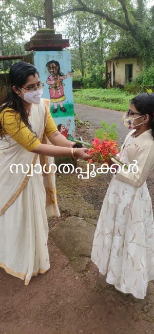 BS21 ALP 36230 2.jpg