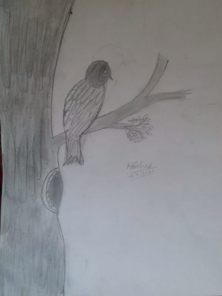 പ്രമാണം:Krishna 3.jpeg