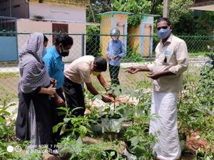 Vegetable garden 2.jpg