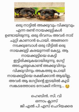 12502-KGD-KUNJ- HEBIN TV .jpeg