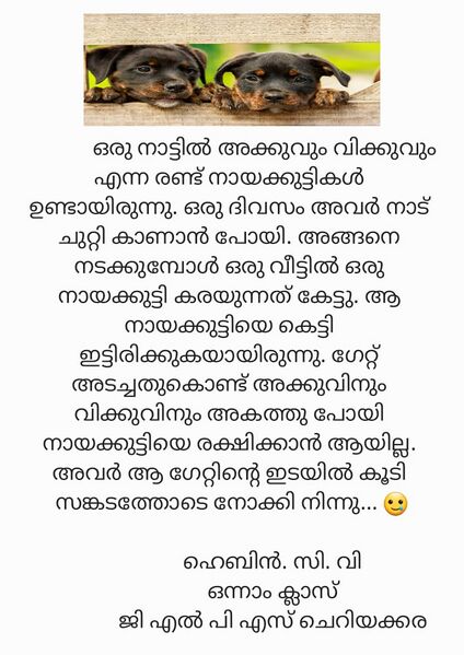 പ്രമാണം:12502-KGD-KUNJ- HEBIN TV .jpeg