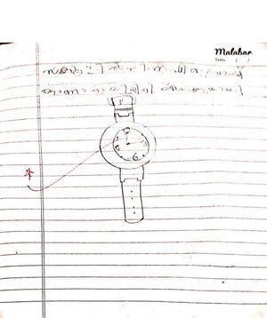 12555-KGD-KUNJ-SHAZNA SAJID.jpeg