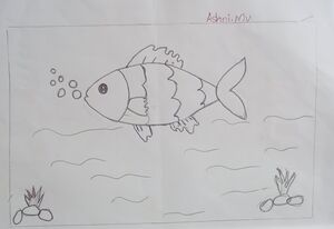 13917-KNR-KUNJ ASHNI M V P P-1A.jpg