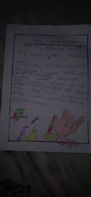 14636-KNR-KUNJ-AYISHA HYKE.jpeg