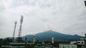 15307 muttilmala.jpg